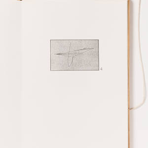 Wind Instruments by Simon Cutts, Image 16.