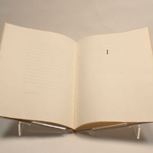Woodlawn North by Robert Ernst Marx, Image 2.