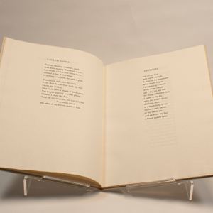 Woodlawn North by Robert Ernst Marx, Image 13.