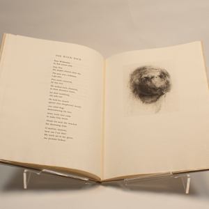 Woodlawn North by Robert Ernst Marx, Image 18.
