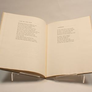 Woodlawn North by Robert Ernst Marx, Image 22.