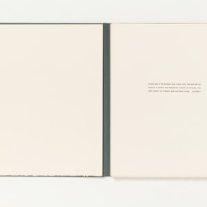 Stone with The Angel by Arthur Polonsky, Image 11.