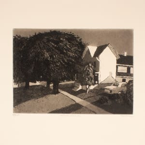 White House by Linda Plotkin