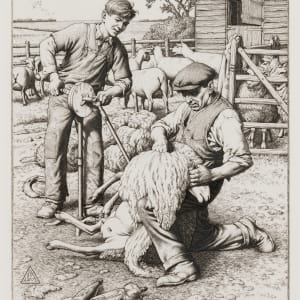 Sheep Shearing by Stanley Anderson