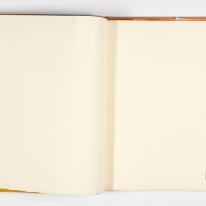 Aesop's Fables by Dame Elisabeth Frink, Image 4.