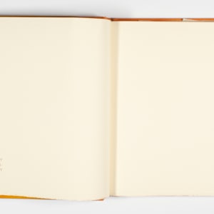 Aesop's Fables by Dame Elisabeth Frink, Image 6.