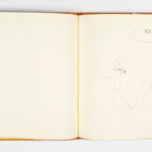 Aesop's Fables by Dame Elisabeth Frink, Image 27.