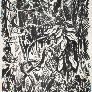 Jungle by Tobias Schneebaum