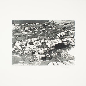 Shoreline by Carl Schwartz