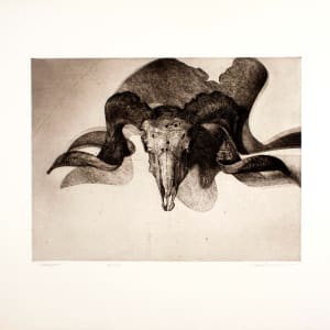 Target by Adrian Van Suchtelen