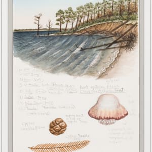 Notebook Page - Neuse River by Robert Johnson