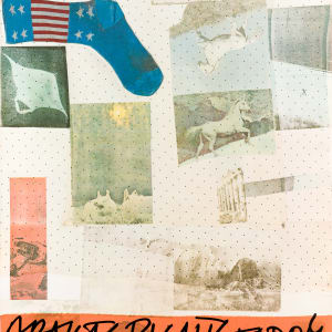 Artist's Right Today by Robert Rauschenberg