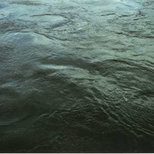 From Some Thames (Group J) by Roni Horn  Image: 2022.14.4.d