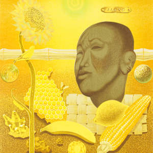 Buddha, Life in Yellow by Victor Vasarely