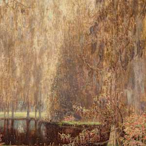Wisteria Vine by William Posey Silva