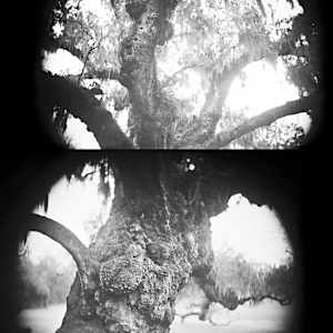 Signs of Resilience by Linda Foard Roberts