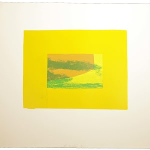 Indian View F by Howard Hodgkin