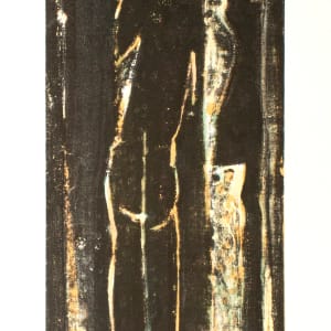 In the Woods, a Glow by Will Petersen