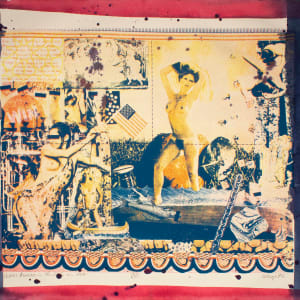 Venus Arrives in the USA in 1977 by William Weege