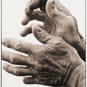 Hands by Ron Chapple