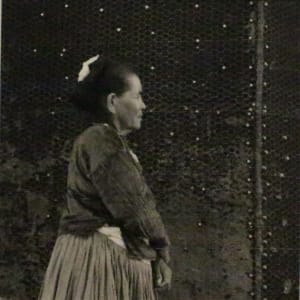 Dolly Nephew by Roger Manley