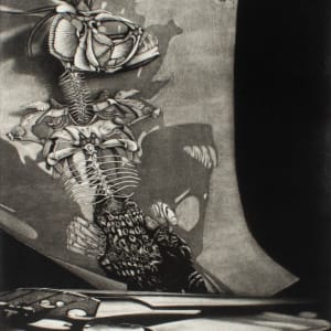 Bridge by Ryan O'Malley