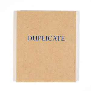Duplicate/Decay by Elijah Gowin 
