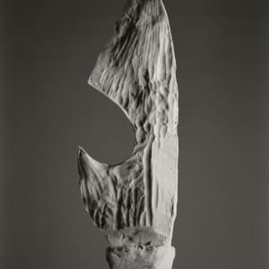 Knife by Erin Shirreff