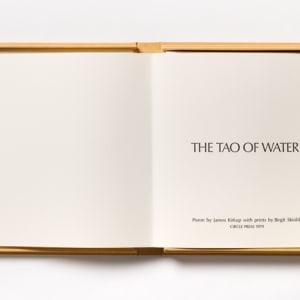 The Tao of Water by Birgit Skiold 