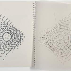 The Elastic Membrane by Michael Kidner, Image 14.