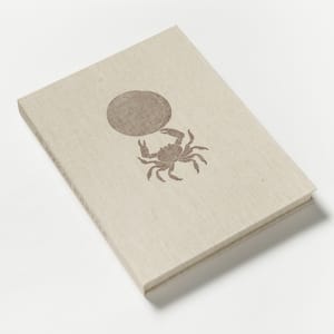 An African Folktale by Willow Legge