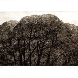 Daybreak by Adrian Van Suchtelen