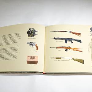 Bank Tellers of America versus The Aryan Republican Army (1992-1996) by Tyler Starr 
