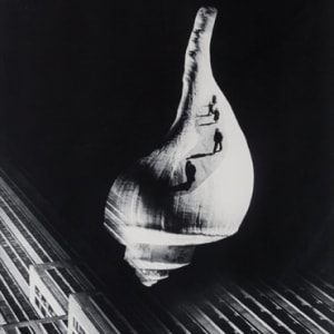 City Shell by Barbara Morgan