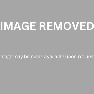 The Meeting by Graham Ovenden