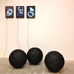 Canons by Cort Savage