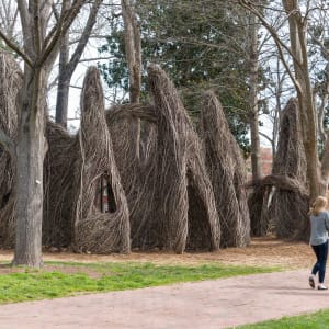 Common Ground by Patrick Dougherty