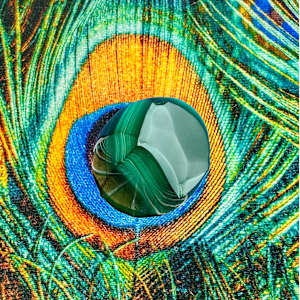 CHROMA FIELDS by ISSA, Image 1.