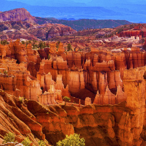 Bryce Canyon Amphitheater and Sinking Ship from Sunset Point, Morning by Rodney Buxton