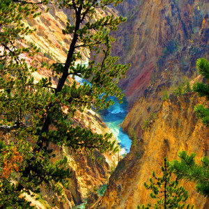 Grand Canyon of the Yellowstone River, Morning by Rodney Buxton