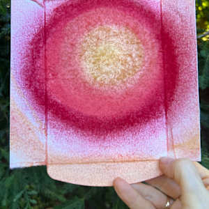 Ascension by Sherri Silverman 