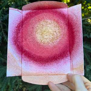 Ascension by Sherri Silverman 