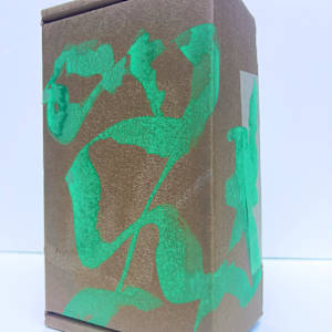 Lichen Box by Sherri Silverman