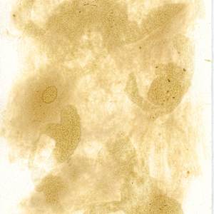 invocation by Sherri Silverman, Image 2.