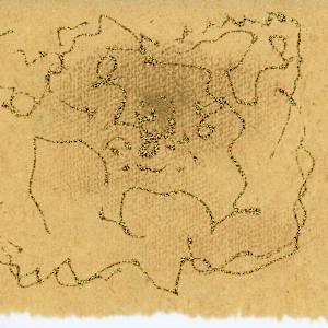 shimmering flower by Sherri Silverman 