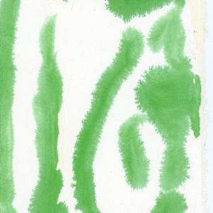 so green serene by Sherri Silverman, Image 2.