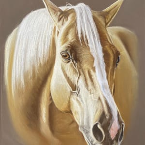 Boomer by Amanda Griffey