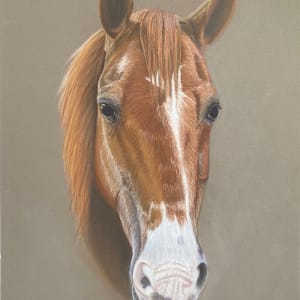 Britches by Amanda Griffey