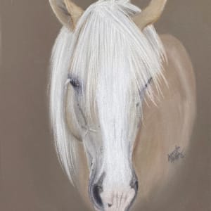 Dolly by Amanda Griffey