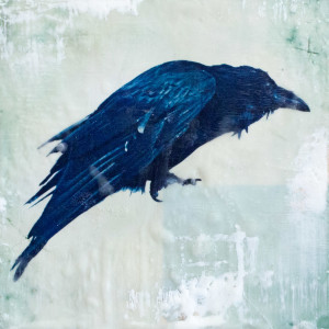 Poe Crow by Kristin MacPherson